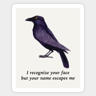 Crows Are Smart, Facial Recognition Joke Sticker